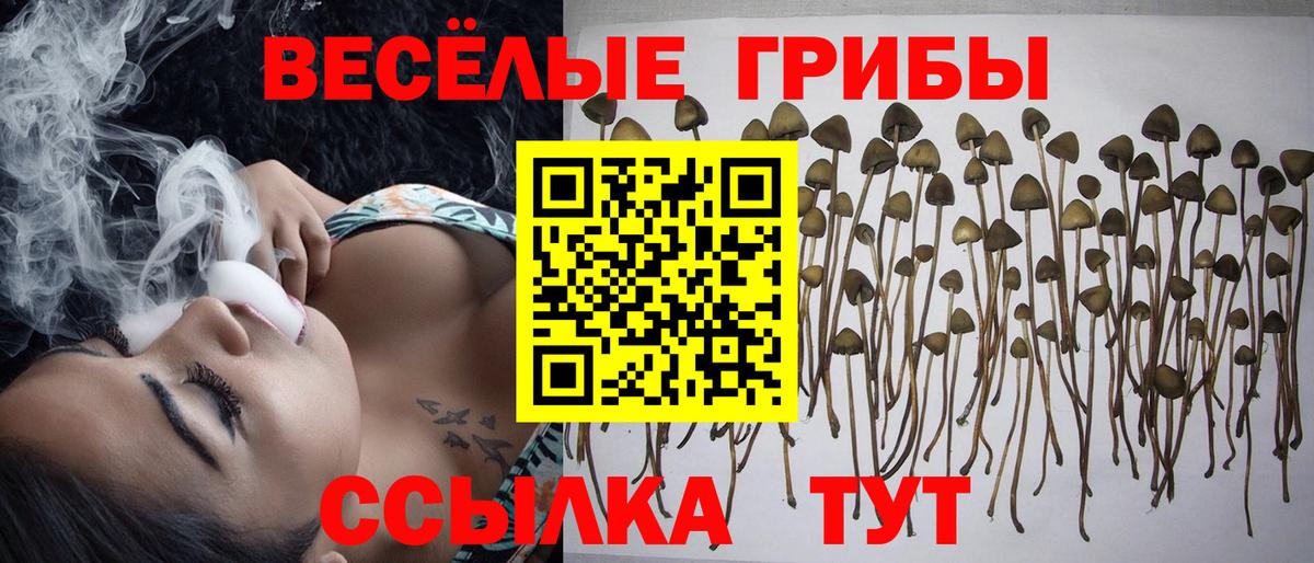 Галлюциногенные грибы мухоморы Соль-Илецк