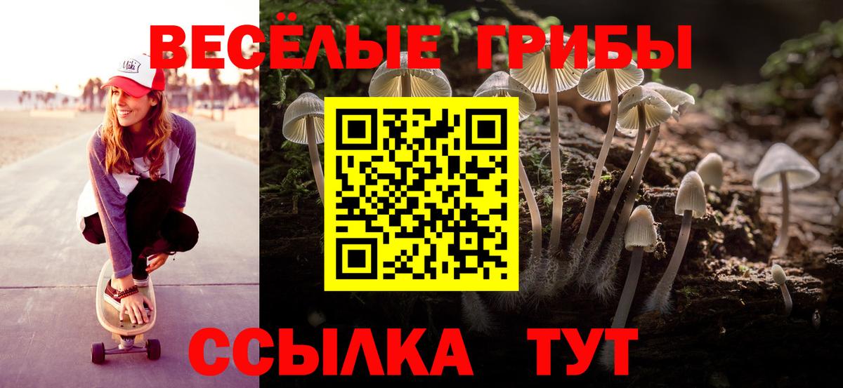 Соль-Илецк  Псилоцибиновые грибы GOLDEN TEACHER  Вход с VPN 