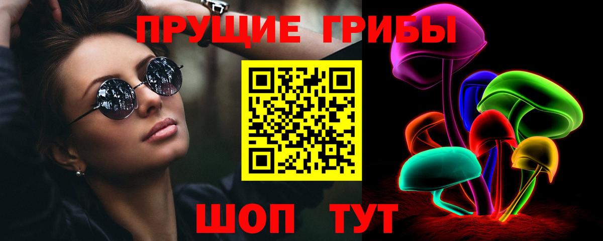 Псилоцибиновые грибы Соль-Илецк